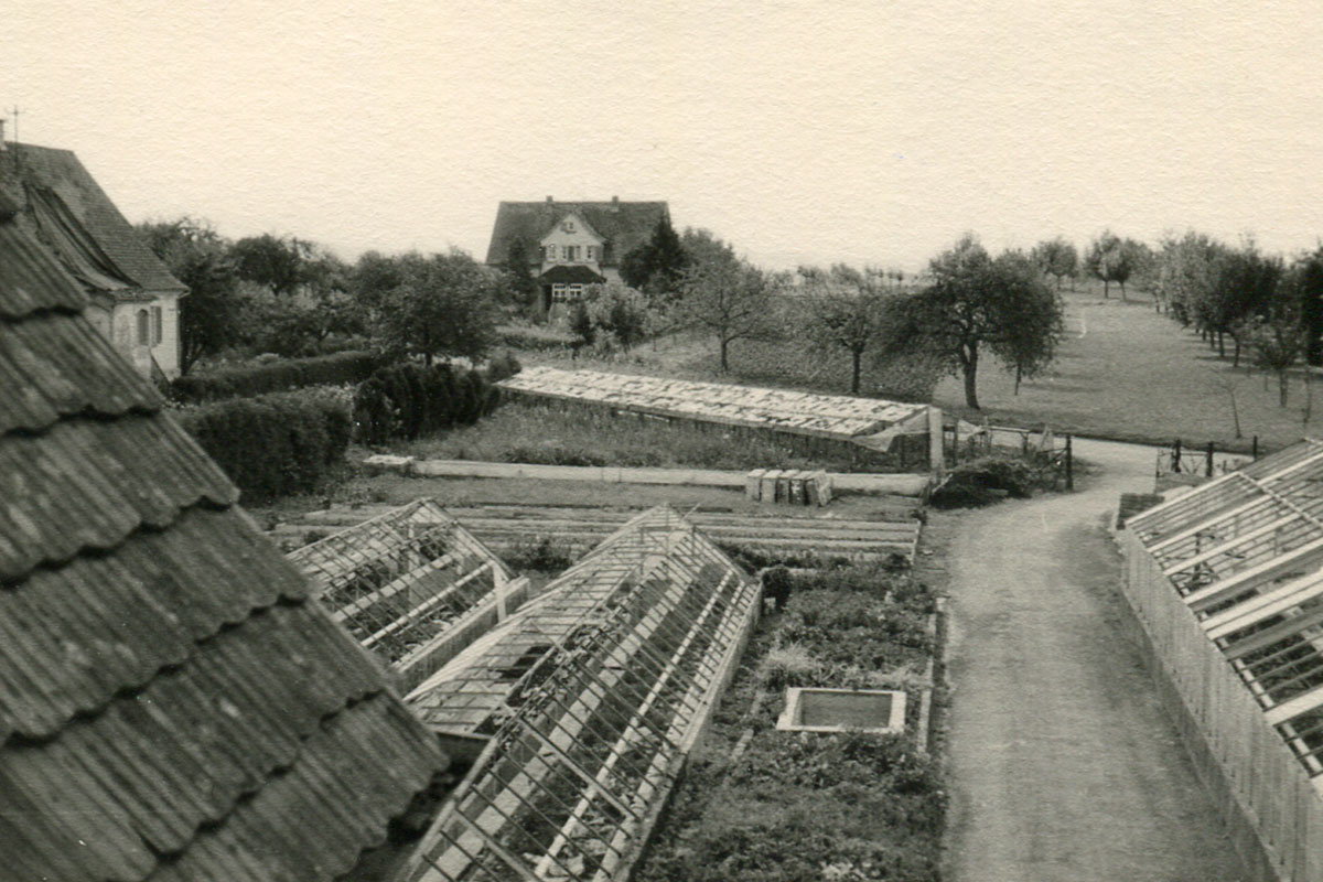 Blumen Klenk – unsere Historie – 1958 Blumen Klenk – unsere Historie – 1958