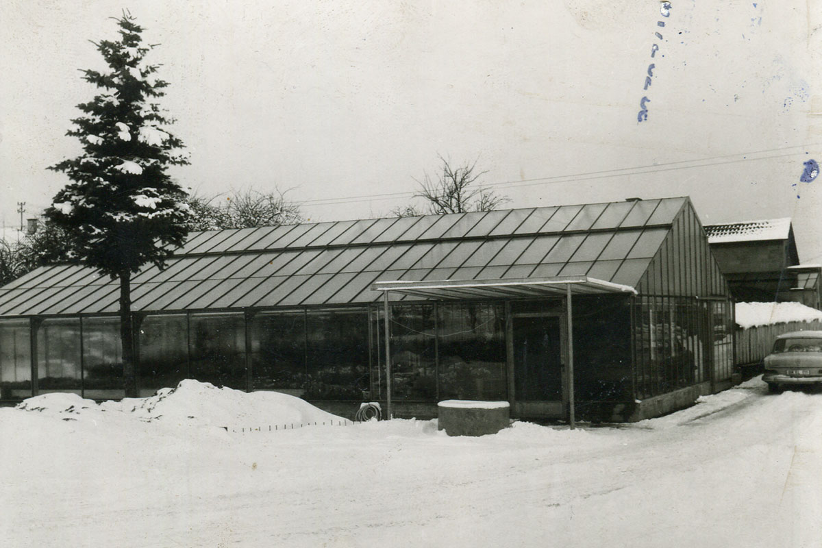 Blumen Klenk – unsere Historie – 1969 Blumen Klenk – unsere Historie – 1969