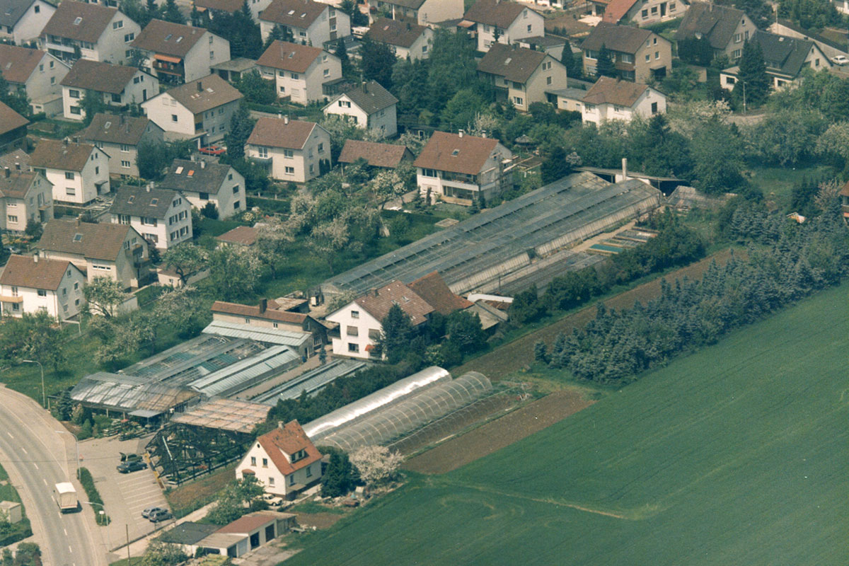 Blumen Klenk – unsere Historie – 1985 Blumen Klenk – unsere Historie – 1985